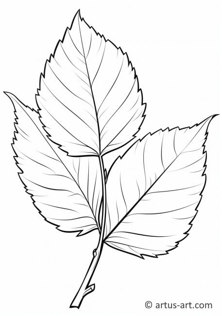 Página para colorir de folha de bétula
